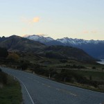 Foxy_Fox_NZ_South_Island_Road