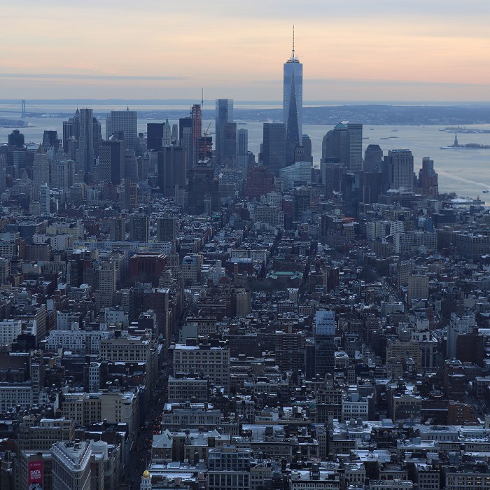 Foxy_Fox_NYC_Skyline2